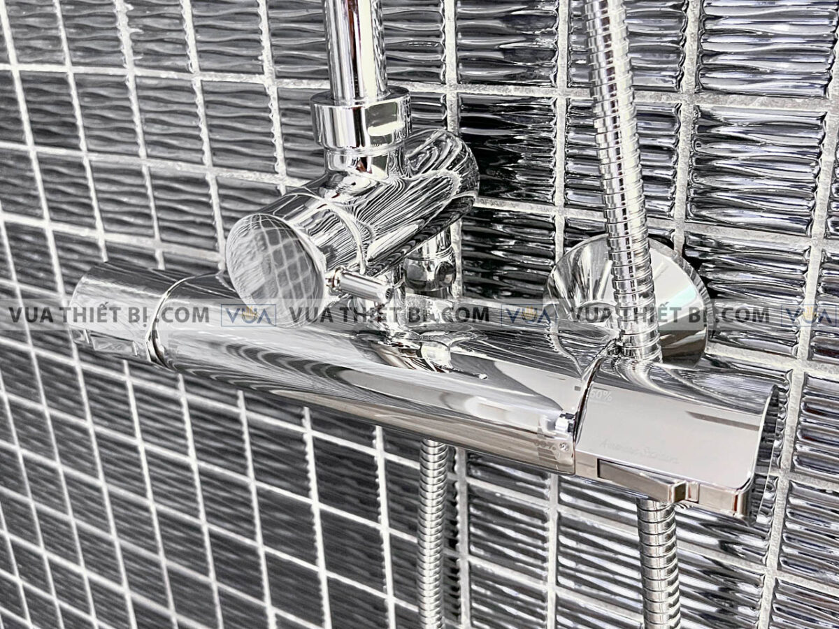 anh thuc te voi sen cay american standard a 6110978903 wf 4948 3