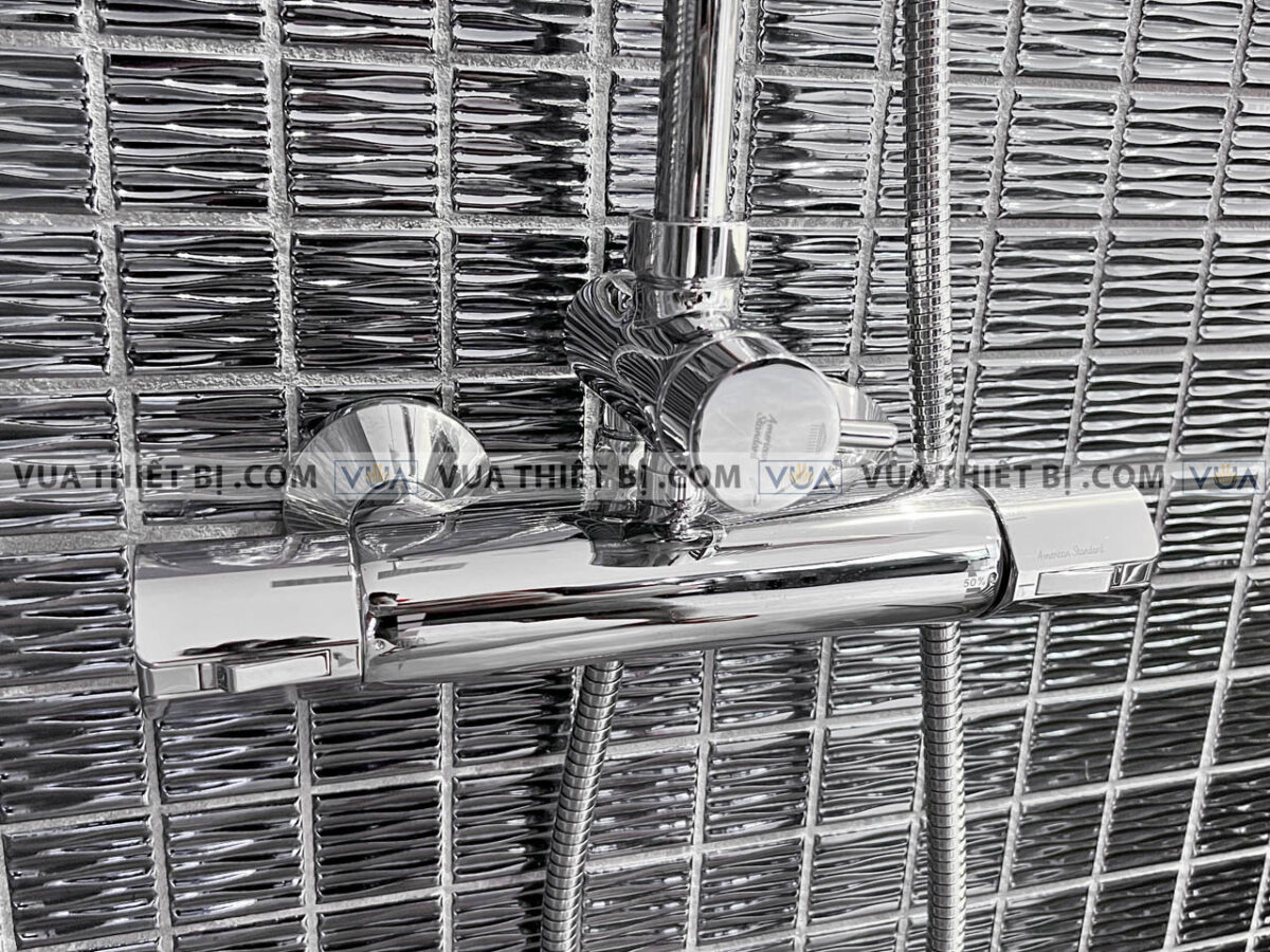anh thuc te voi sen cay american standard a 6110978903 wf 4948 4