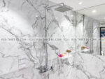 anh thuc te voi sen cay american standard a6110978903 wf 3672 1 1