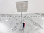 anh thuc te voi sen cay american standard a6110978903 wf 3672 3