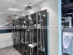 anh thuc te voi sen cay american standard wf 0715w wf 9071h 2