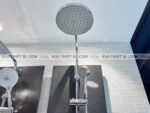 anh thuc te voi sen cay american standard wf 0715w wf 9071h 7