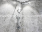 anh thuc te voi sen cay american standard wf 1772 2