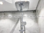 anh thuc te voi sen cay american standard wf 1772 6