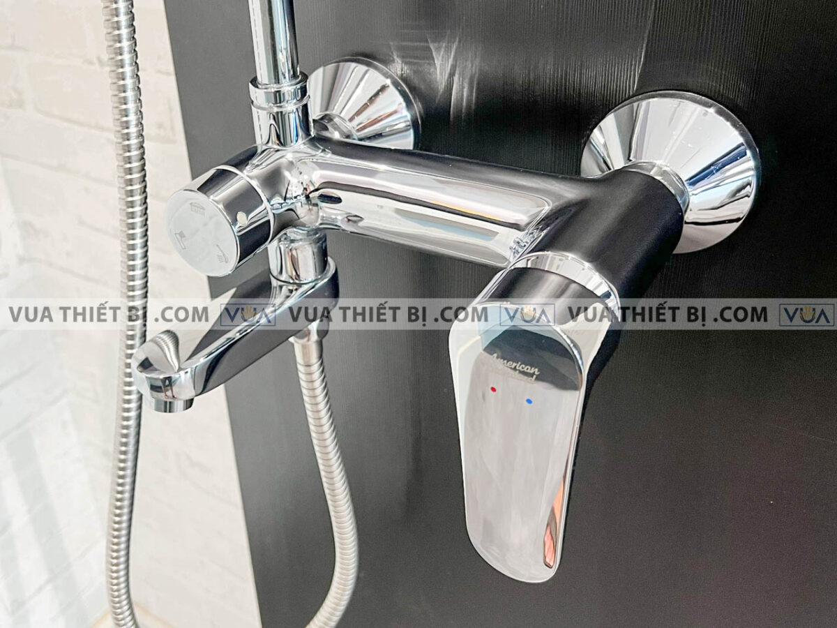 anh thuc te voi sen cay american standard wf 9089 wf 9089e 2
