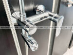anh thuc te voi sen cay american standard wf 9089 wf 9089e 3