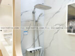 anh thuc te voi sen cay inax bfv 655t 1