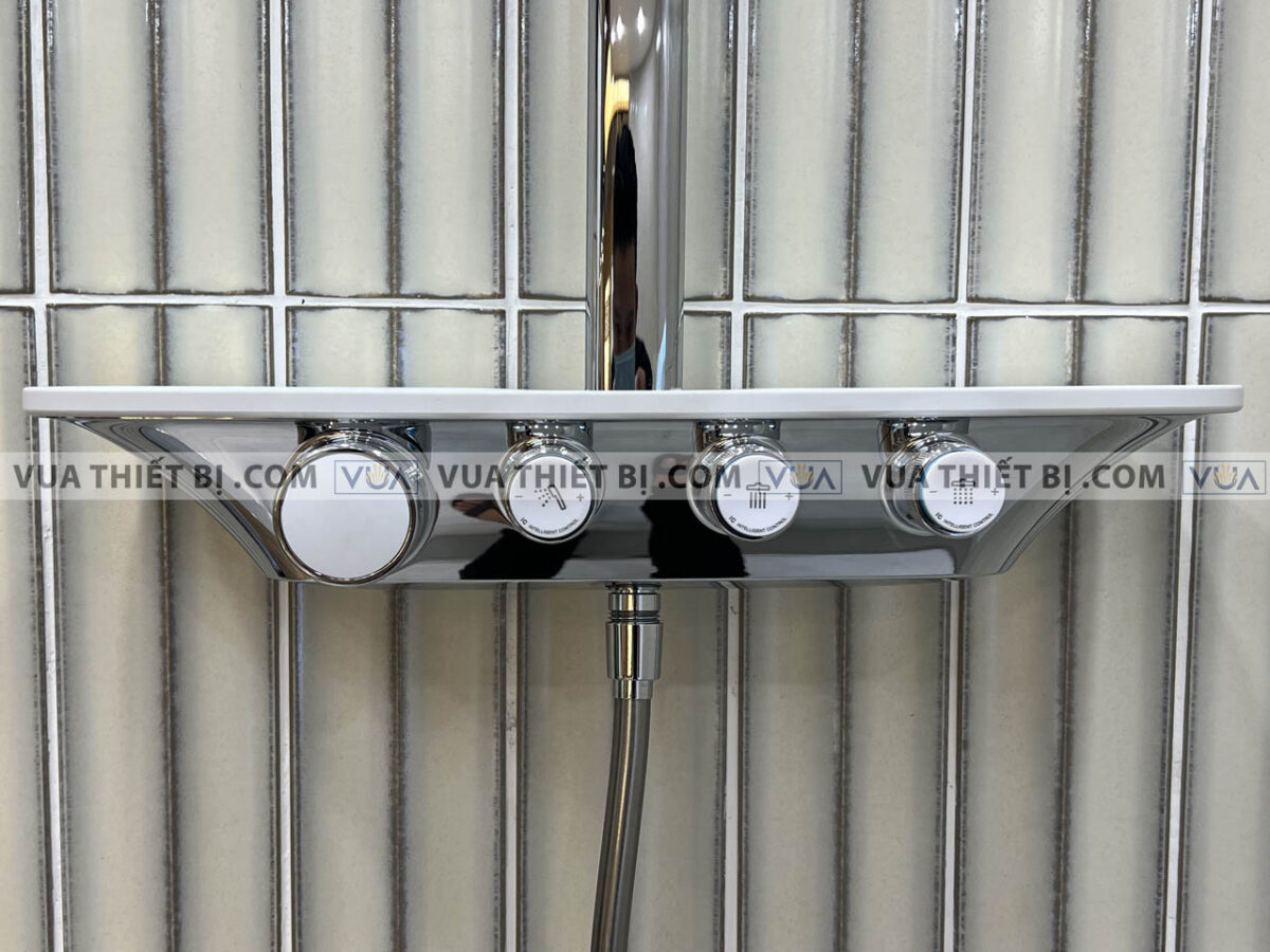 anh thuc te voi sen cay inax bfv 655t 3