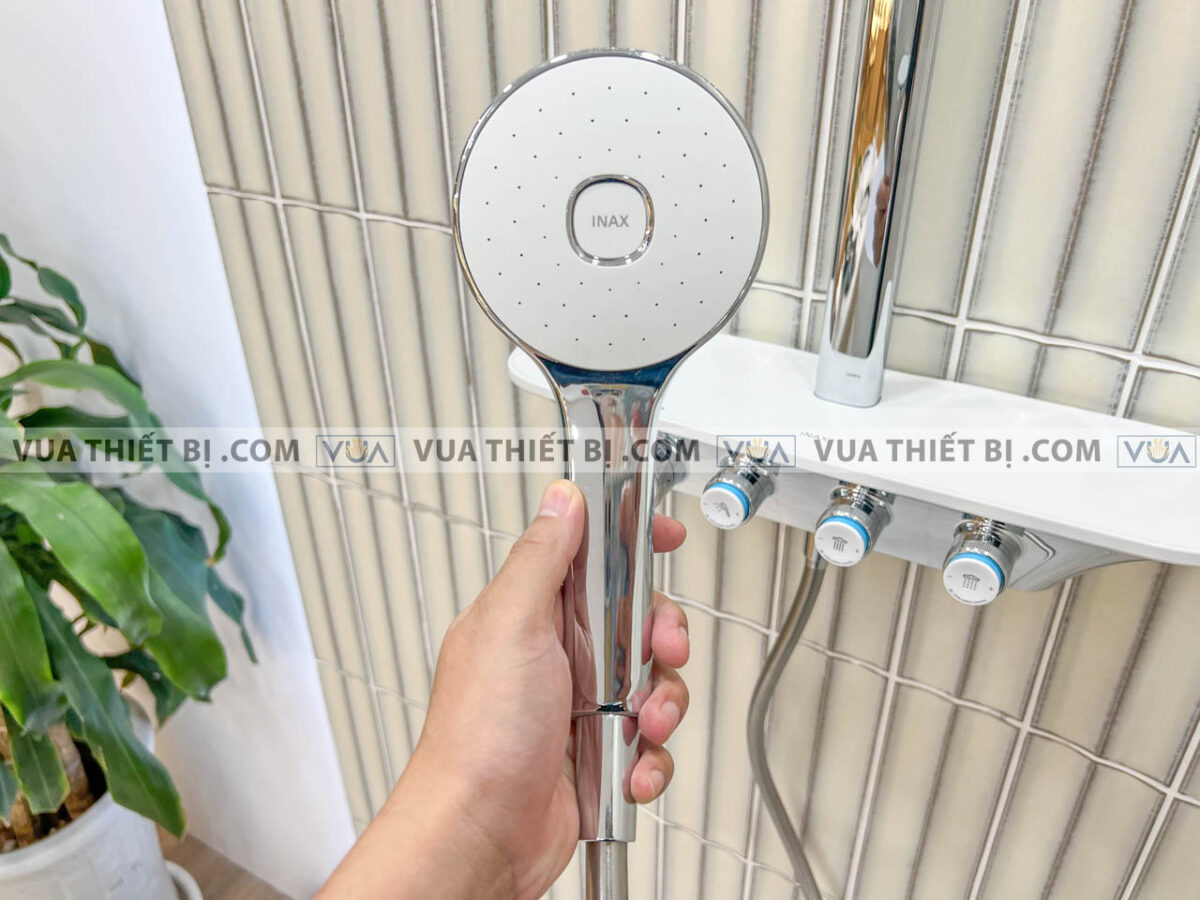 anh thuc te voi sen cay inax bfv 655t 5