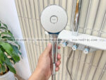 anh thuc te voi sen cay inax bfv 655t 5