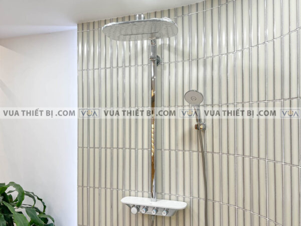 anh thuc te voi sen cay inax bfv 655t 6