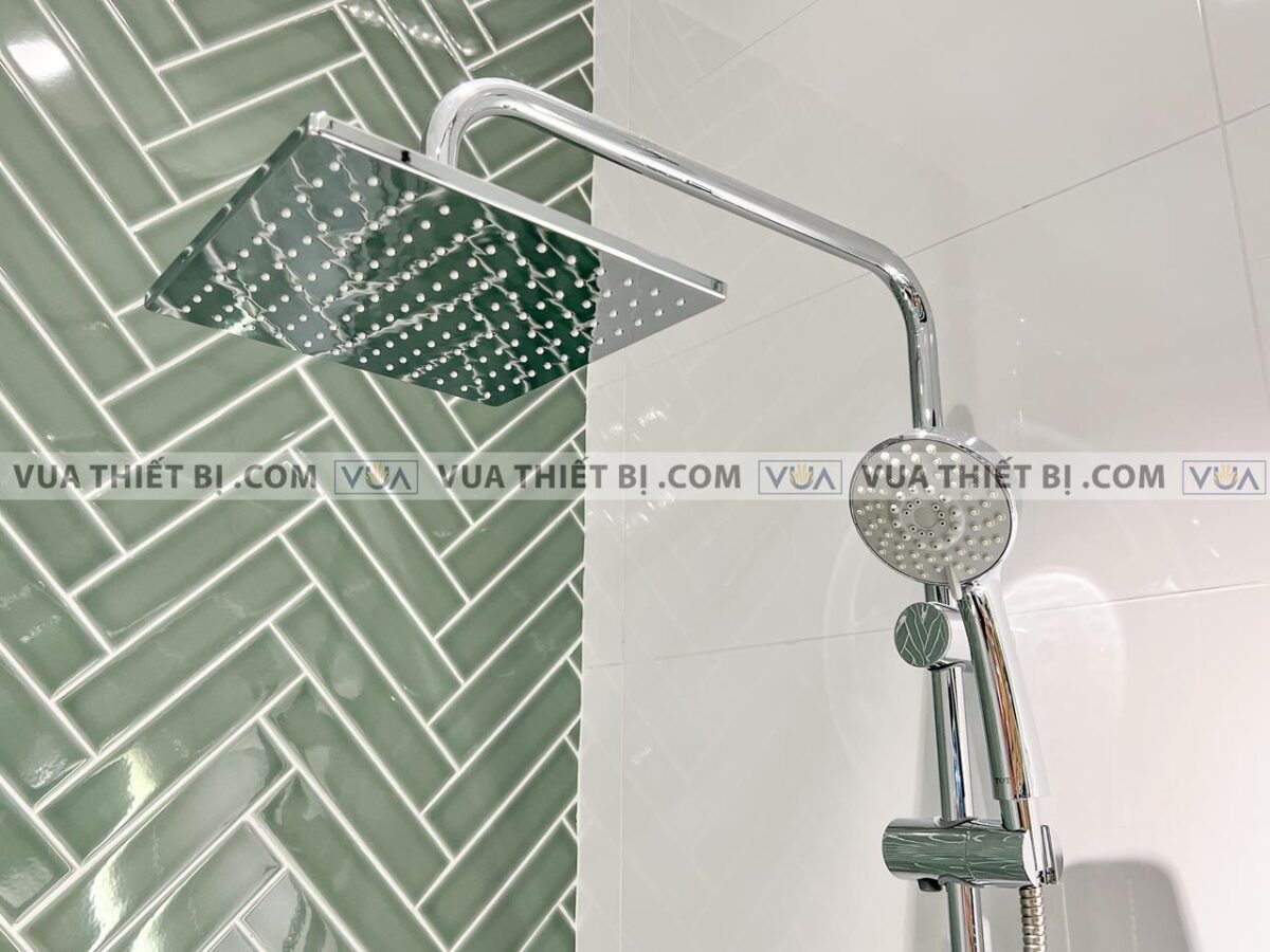 anh thuc te voi sen cay toto dm907c1s tbg02302v dgh108zr nong lanh 2