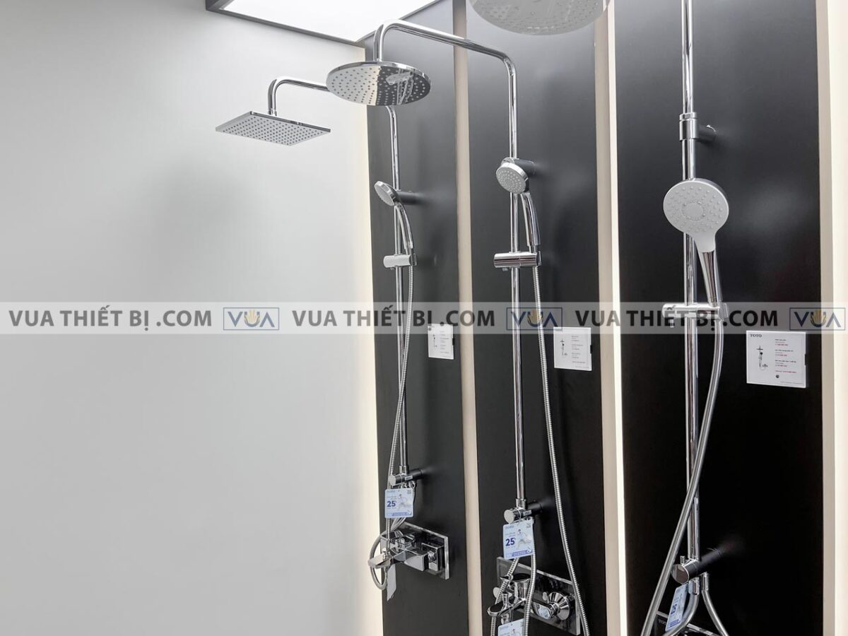 anh thuc te voi sen cay toto dm907cs tbs01302v dgh104zr nong lanh lb 2