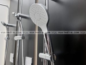 anh thuc te voi sen cay toto tbw01001b tbs02302v tbw01008a nong lanh 7