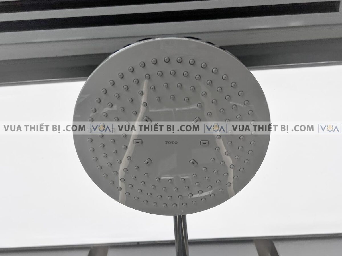anh thuc te voi sen cay toto tbw01302b nong lanh 7