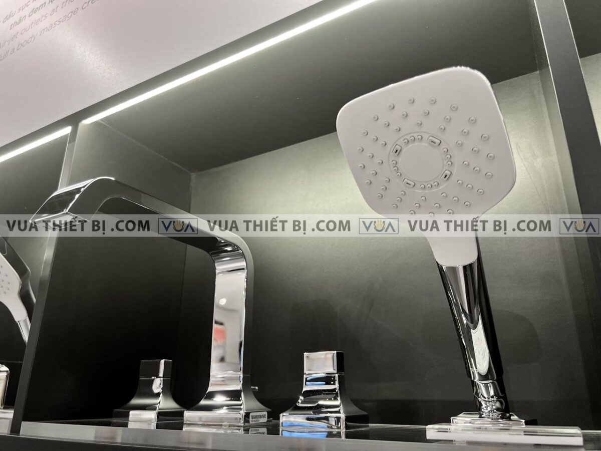 anh thuc te voi sen xa bon tam toto tbg08202a gan bon 4 lo gc 5