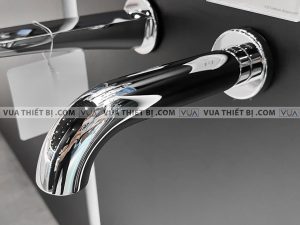 anh thuc te voi xa bon tam toto tbg11001b sen am tuong gf 1