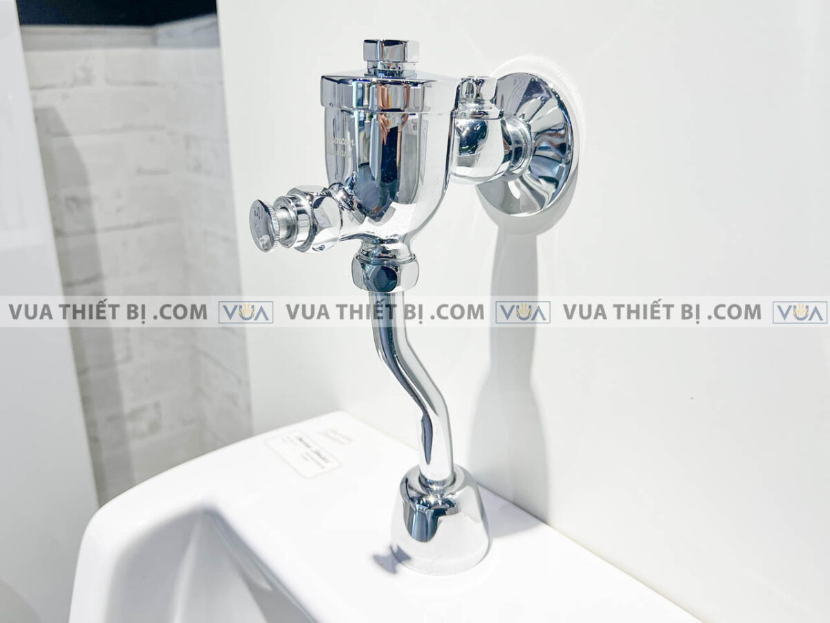 anh thuc te xa tieu american standard wf 9802 1