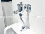 anh thuc te xa tieu american standard wf 9802 1
