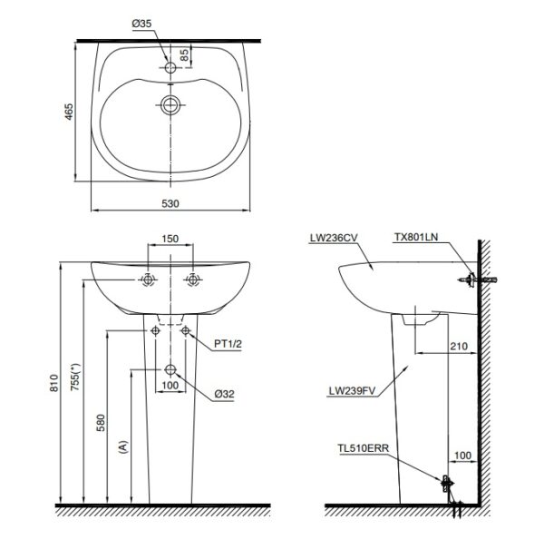 ban ve bon rua mat lavabo toto lpt236cs