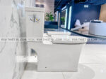 bon cau 2 khoi american standard wp 2781 2