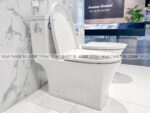 bon cau 2 khoi american standard wp 2781 3