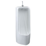 bon tieu nam caesar u0296 dat san
