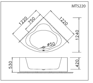 bvkt bon tam caesar mt5220 300x266 1