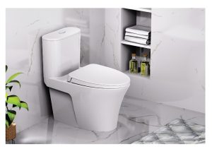 Bồn cầu 1 khối Caesar CD1395 3