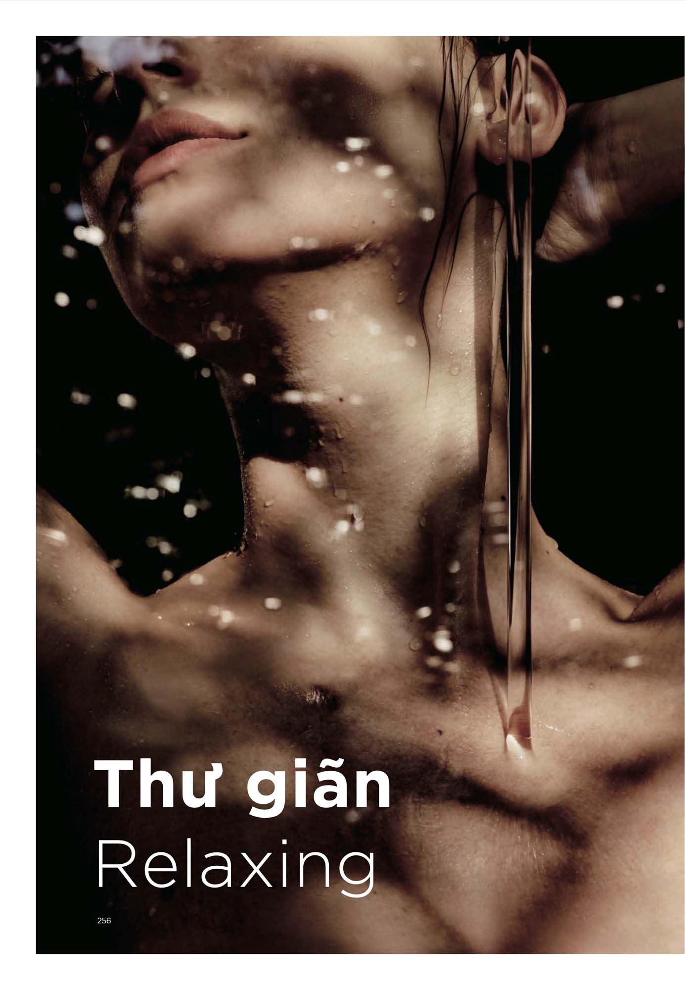 Catalogue Thiết bị vệ sinh TOTO mới nhất 2026 273 CATALOGUE DAY DU THIET BI VE SINH TOTO 2026 130 1