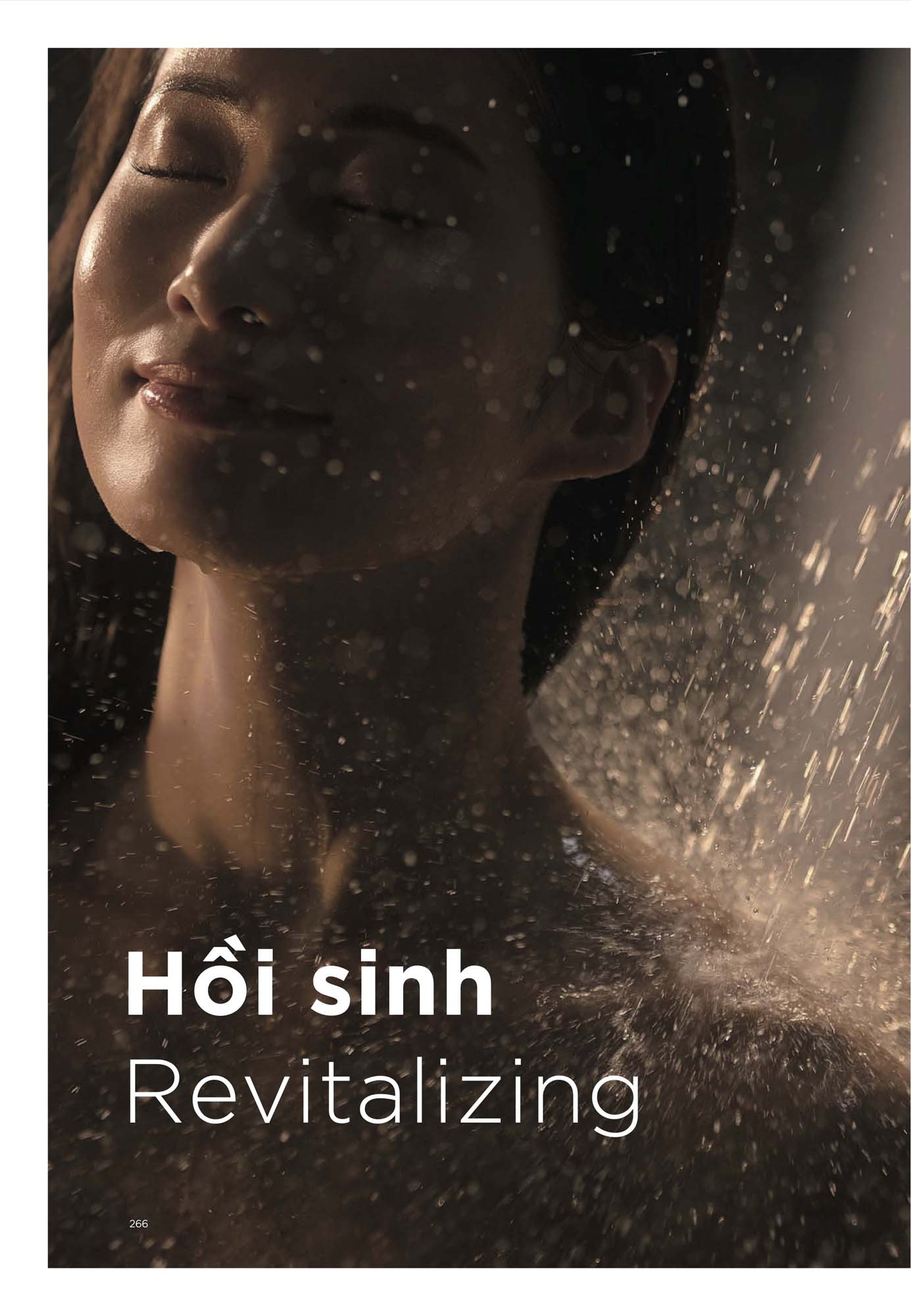 Catalogue Thiết bị vệ sinh TOTO mới nhất 2026 283 CATALOGUE DAY DU THIET BI VE SINH TOTO 2026 135 1