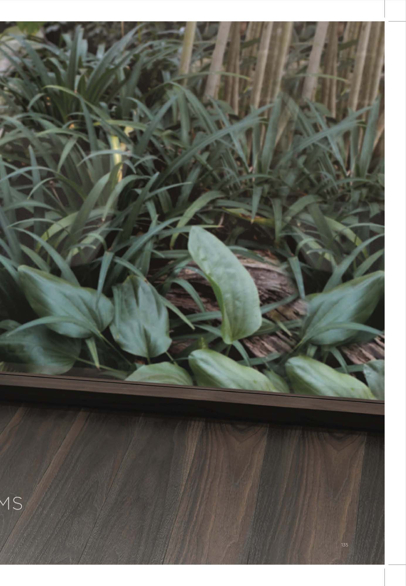 Catalogue Thiết bị vệ sinh TOTO mới nhất 2026 152 CATALOGUE DAY DU THIET BI VE SINH TOTO 2026 69 2