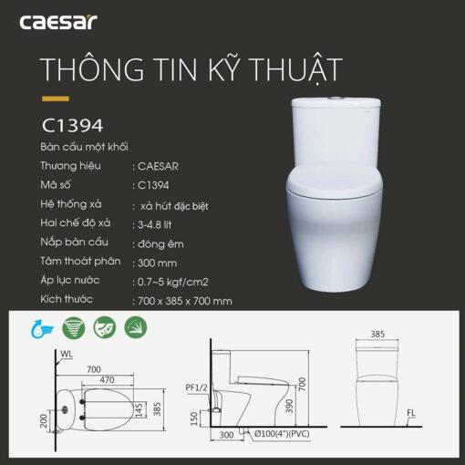 THONG SO KY THUAT Bon cau 1 khoi CAESAR C1394 CD1394 nap em M233