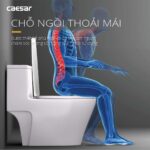 Bồn cầu 1 khối CAESAR C1356 nắp êm M256 - Ảnh 5