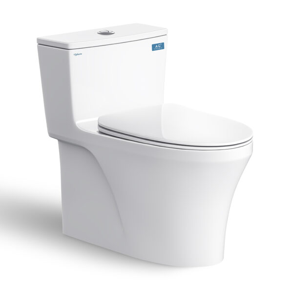 Bồn-cầu-1-khối-VIGLACERA-HL2-nắp-êm