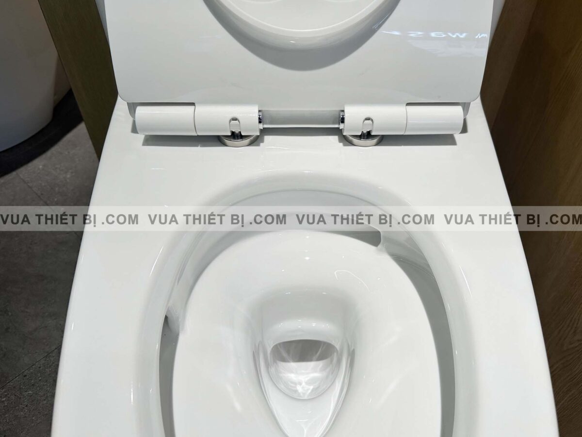 MS625DT8#XW - ẢNH THỰC TẾ Bồn cầu 1 khối TOTO nắp êm TC600VS - vuathietbi.com