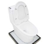 Bồn cầu 1 khối D&K DK-C2402 1