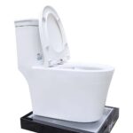 Bồn cầu 1 khối D&K DK-C2406 1