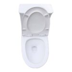 Bồn cầu 1 khối D&K DK-C2406 1