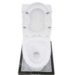 Bồn cầu 1 khối D&K DK-C2409 2