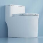 Bồn cầu 1 khối D&K DK-C2424 1