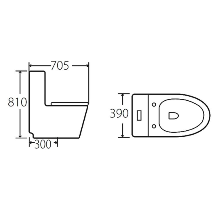 Bồn cầu 1 khối HUGE H-BC226 2