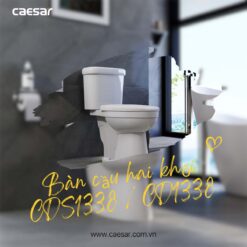 Bon cau 2 khoi CAESAR CD1338 nap thuong M220 2