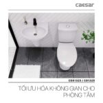 Bồn cầu 2 khối CAESAR CD1325 nắp thường M220 - Ảnh 8