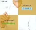 Bồn cầu 2 khối CAESAR CP1333 BF521 xả gạt tay nắp thường M220 - Ảnh 3