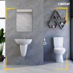 Bồn cầu 2 khối CAESAR CT1325 nắp thường M220 - Ảnh 7