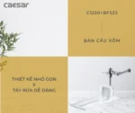 Bồn cầu xổm CAESAR C1250 BF523 bộ xả nhấn - Ảnh 3