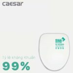 Nắp bồn cầu CAESAR M232 rơi êm - Ảnh 3