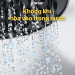 Vòi sen cây Caesar S688CB phím đàn nóng lạnh đen - Ảnh 9