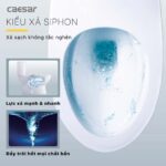 Bồn cầu 2 khối CAESAR CD1320 nắp êm M221 - Ảnh 11